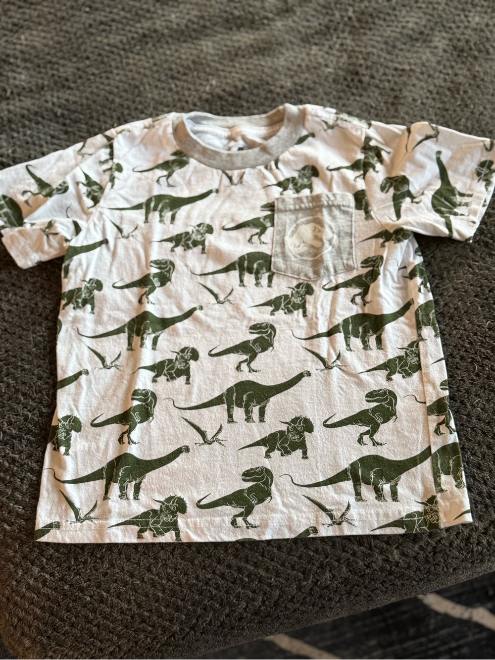 Kids White T-Shirt with Green Dinosaur Print and Chest Pocket